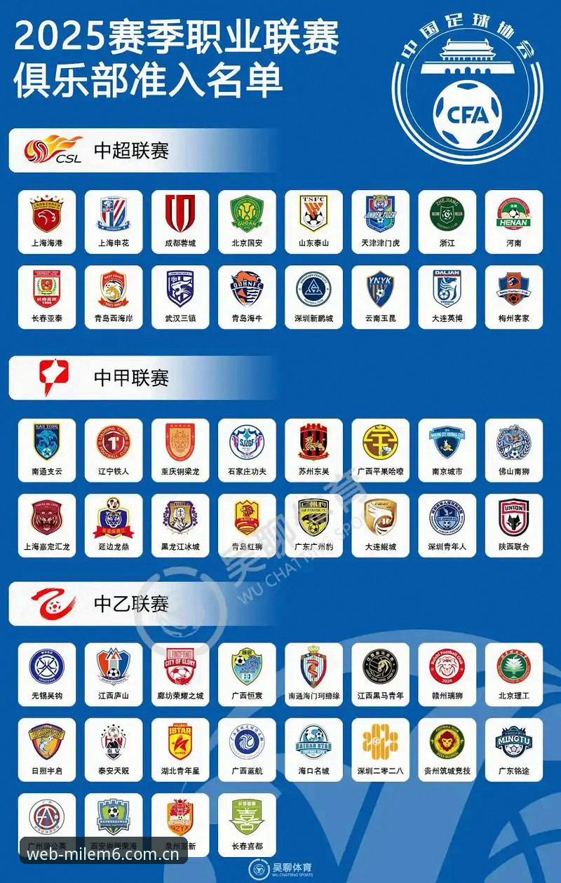 中国足协第三批禁足名单深度解析：从行业乱象看体育精神回归指南